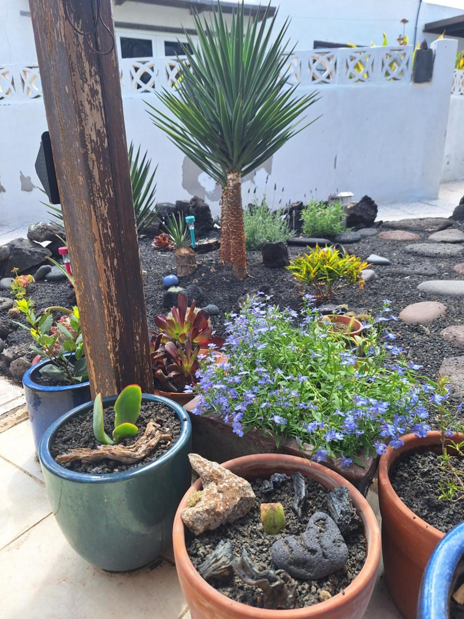 Casita Pequena Lanzarote Βίλα Teguise  Εξωτερικό φωτογραφία